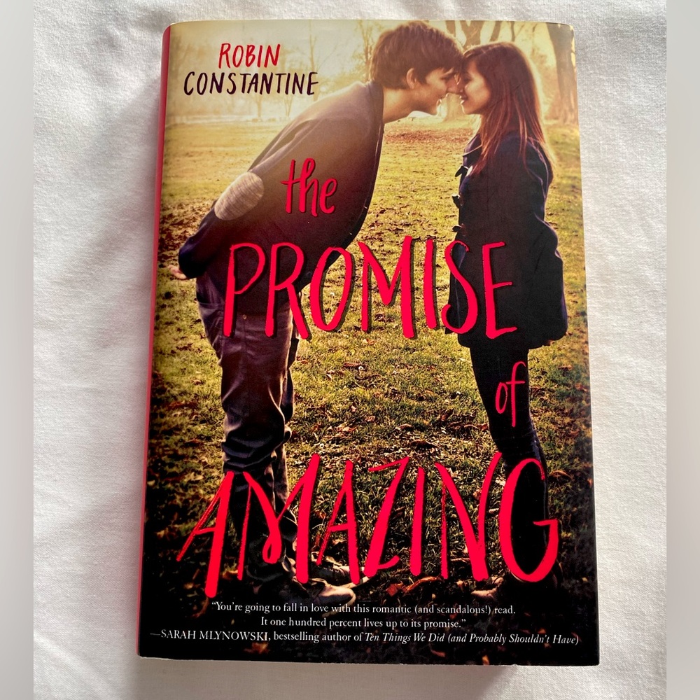 🫧4/$25 YA Books, The Promise of Amazing by Robin Constantine